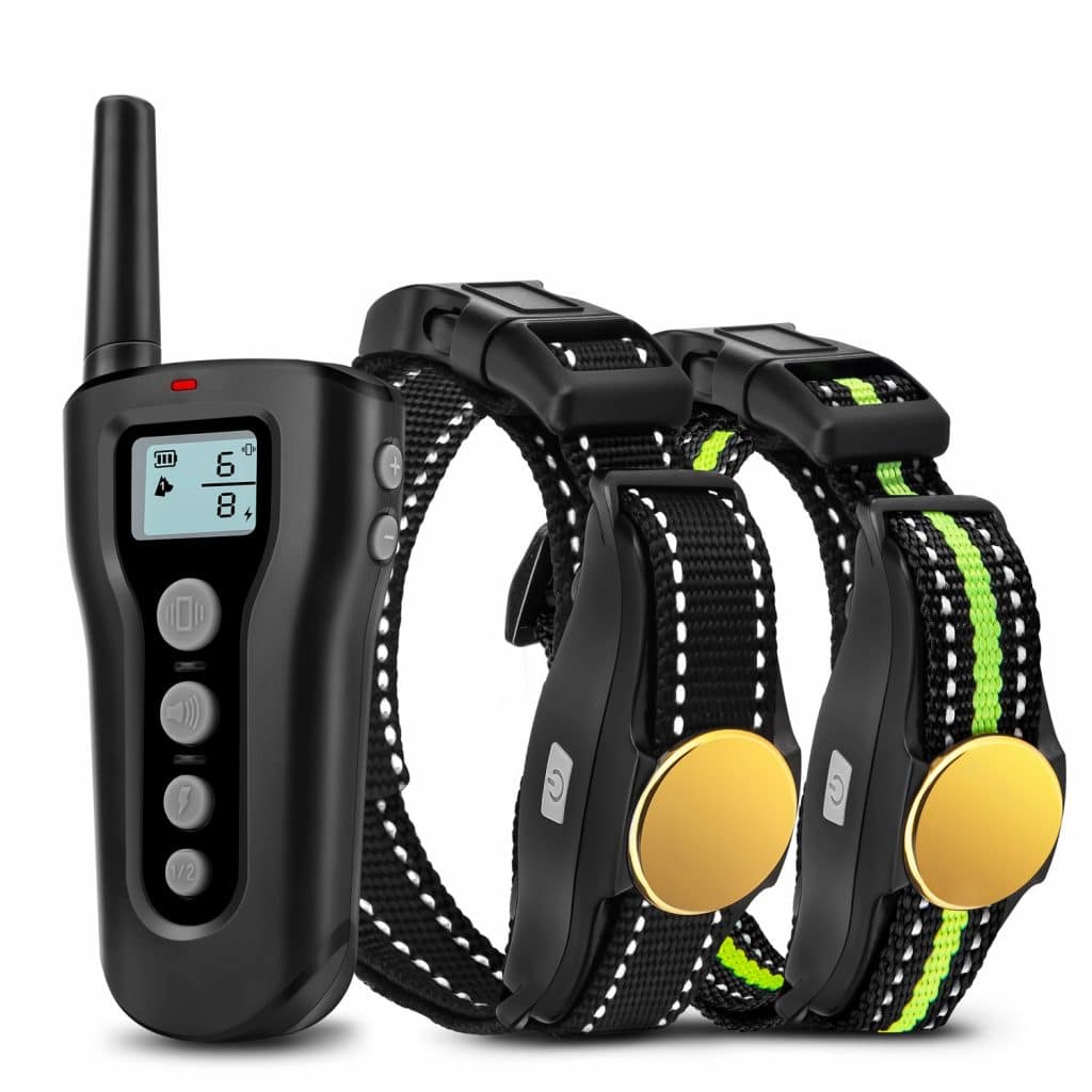 Top 10 Best Dog Training Collar with Remote in 2023 Reviews