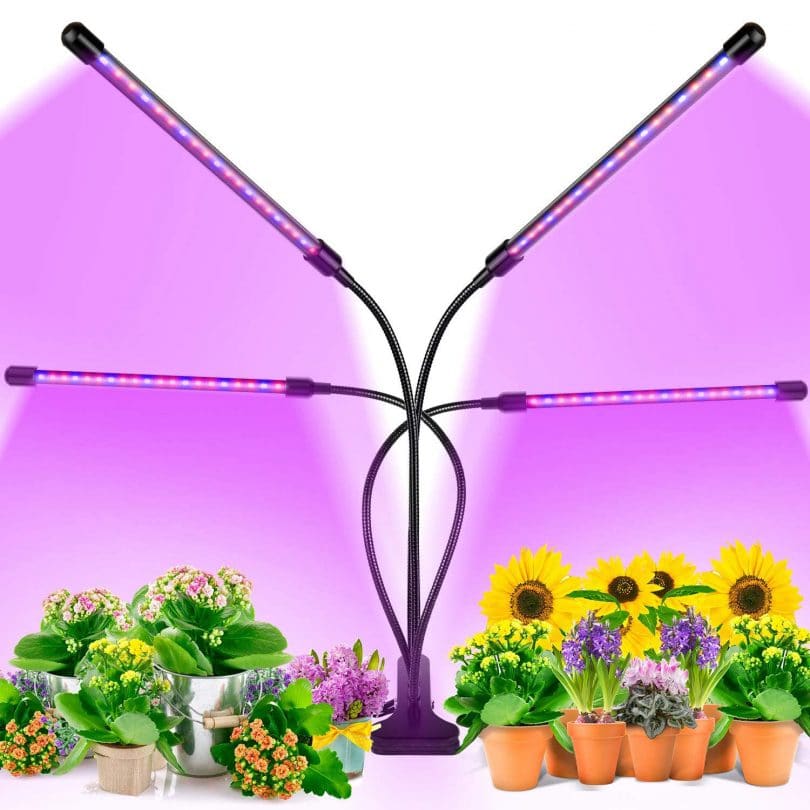 indoor plant lights download free