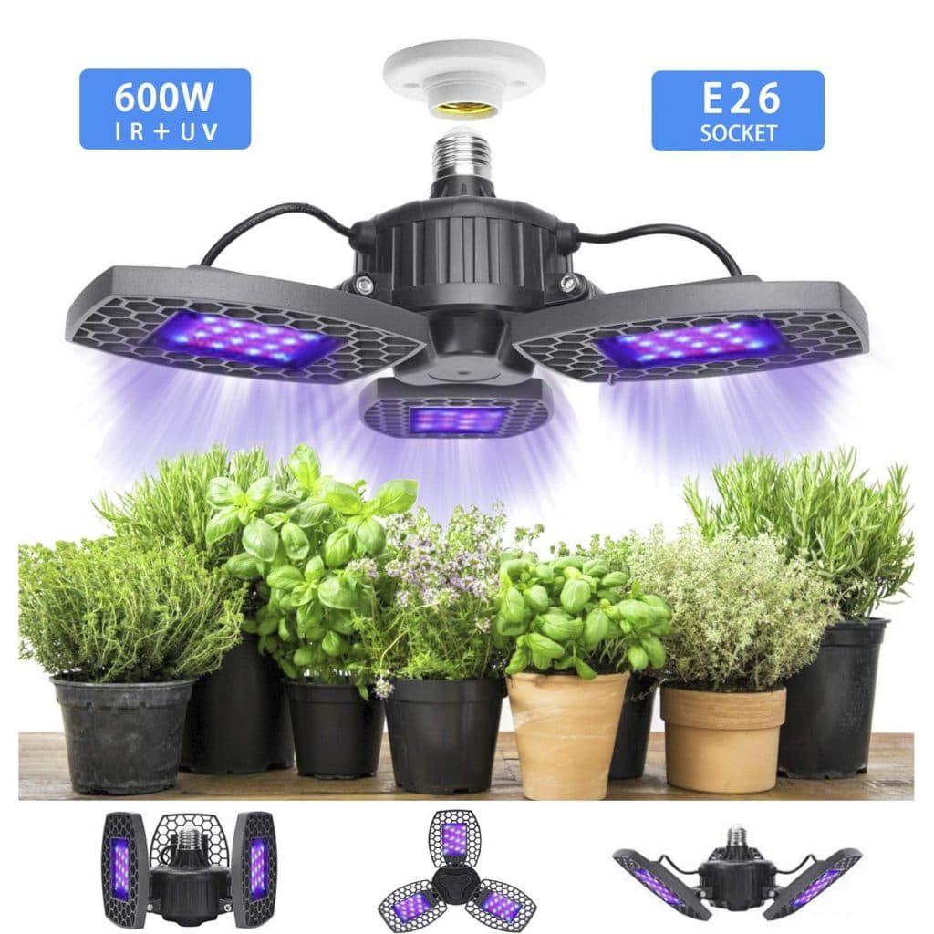 Top 10 Best LED Plant Lights for Indoor Plants in 2022 - Reviews