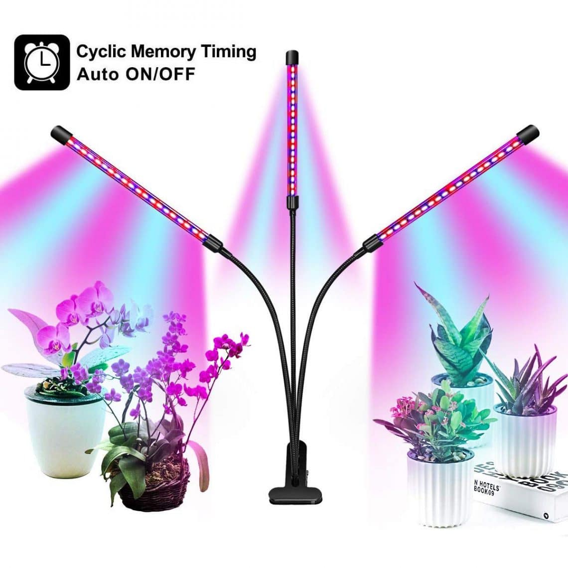 free download indoor plant lights