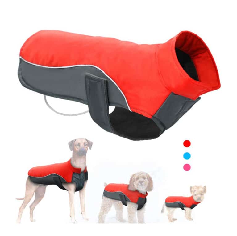 Top 10 Best Reflective Dog Vests in 2024 Reviews | Buyer's Guide