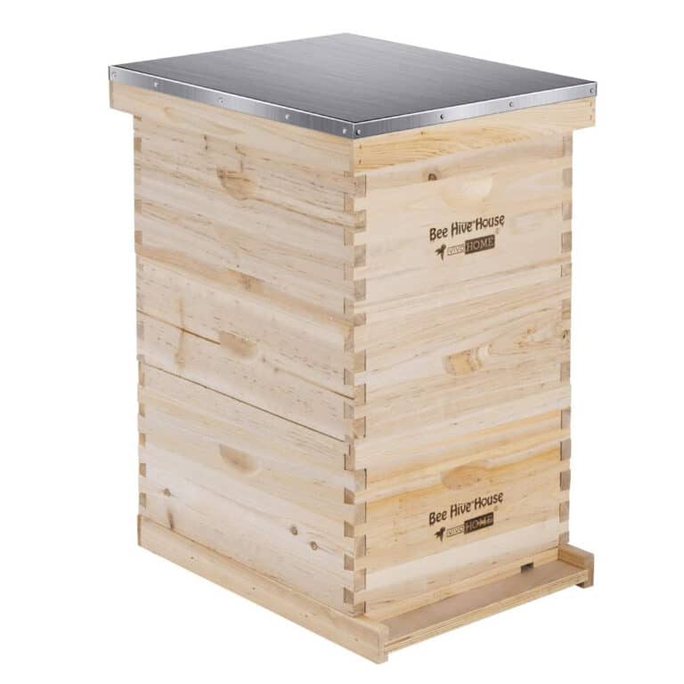 Top 10 Best Bee Hive Kits in 2024 Reviews | Buyer's Guide